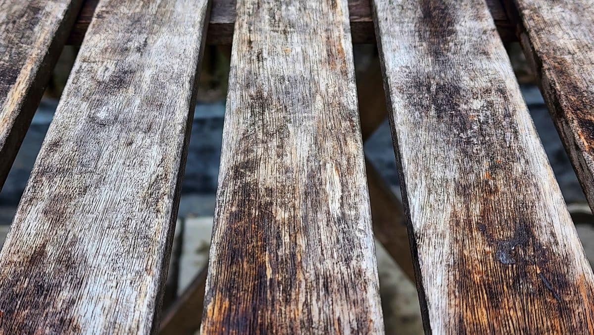 5 Signs Your Deck Needs Repair (Before It Becomes Dangerous) 1 wood texture tree wall bark nature old pattern wooden rough brown surface forest plank